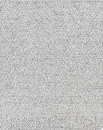 Napels NPL-2304 Hand Woven Rug