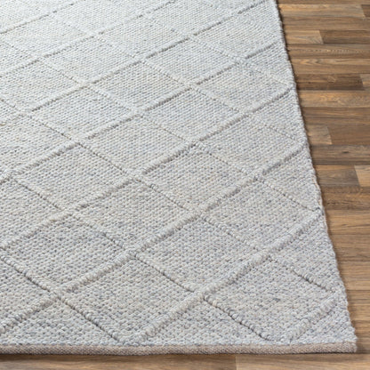 Napels NPL-2304 Hand Woven Rug