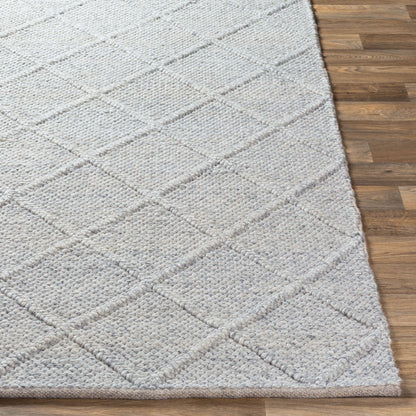 Napels NPL-2304 3' x 5' Handmade Accent Rug