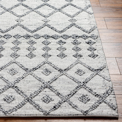 Napoli NPO-2301 2' x 3' Handmade Recyled Accent Rug