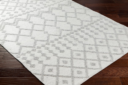 Napoli NPO-2302 9' x 12' Handmade Recyled Area Rug