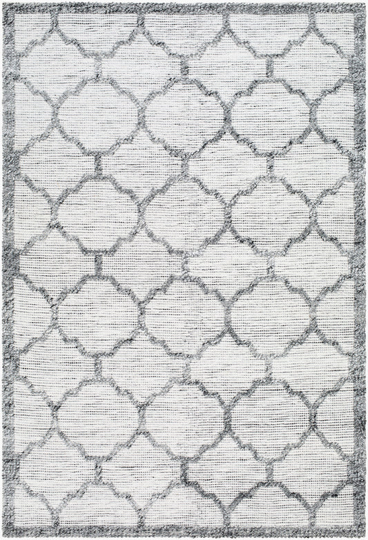 Napoli NPO-2307 5' x 7' Handmade Recyled Area Rug