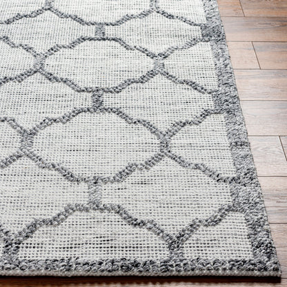 Napoli NPO-2307 5' x 7' Handmade Recyled Area Rug
