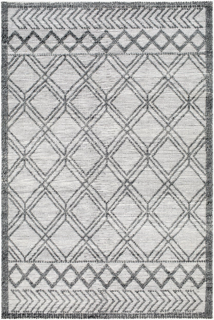 Napoli NPO-2309 9' x 12' Handmade Recyled Area Rug