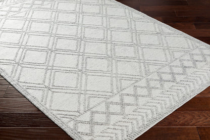 Napoli NPO-2310 8' x 10' Handmade Recyled Area Rug