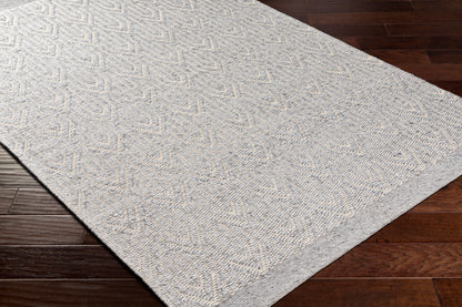 Napoli NPO-2315 2' x 3' Handmade Recyled Accent Rug