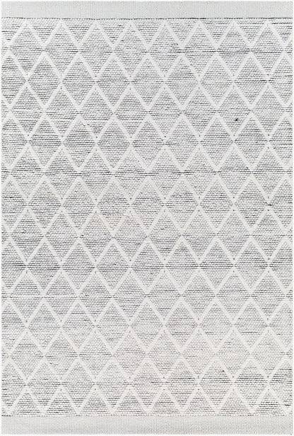 Napoli NPO-2316 2' x 3' Handmade Recyled Accent Rug