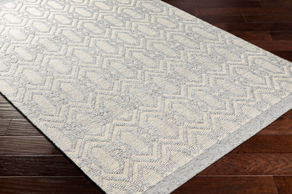 Napoli NPO-2317 6' x 9' Handmade Recyled Area Rug