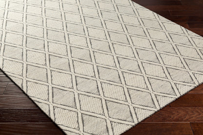 Nevada NVD-2303 2' x 3' Handmade Wool Accent Rug