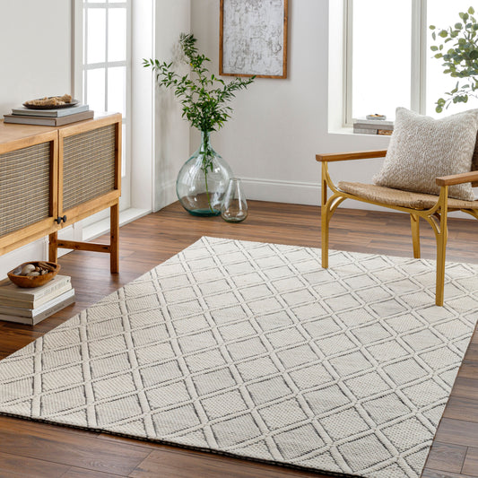Nevada NVD-2303 2' x 3' Handmade Wool Accent Rug