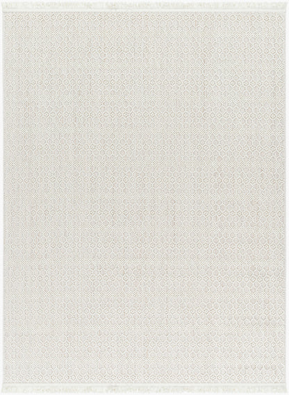 Alfombra tejida a máquina de 1,52 m x 2,13 m, Nueva Delhi NWH-2308