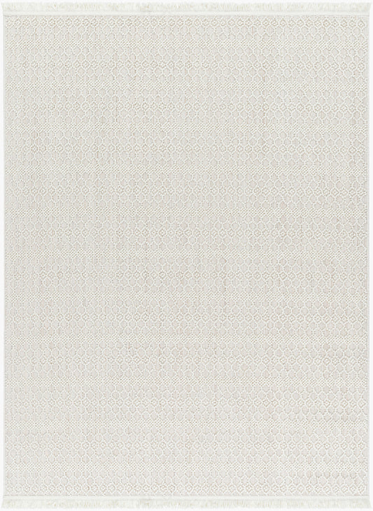 Alfombra tejida a máquina de 2,44 m x 3,05 m, Nueva Delhi NWH-2308