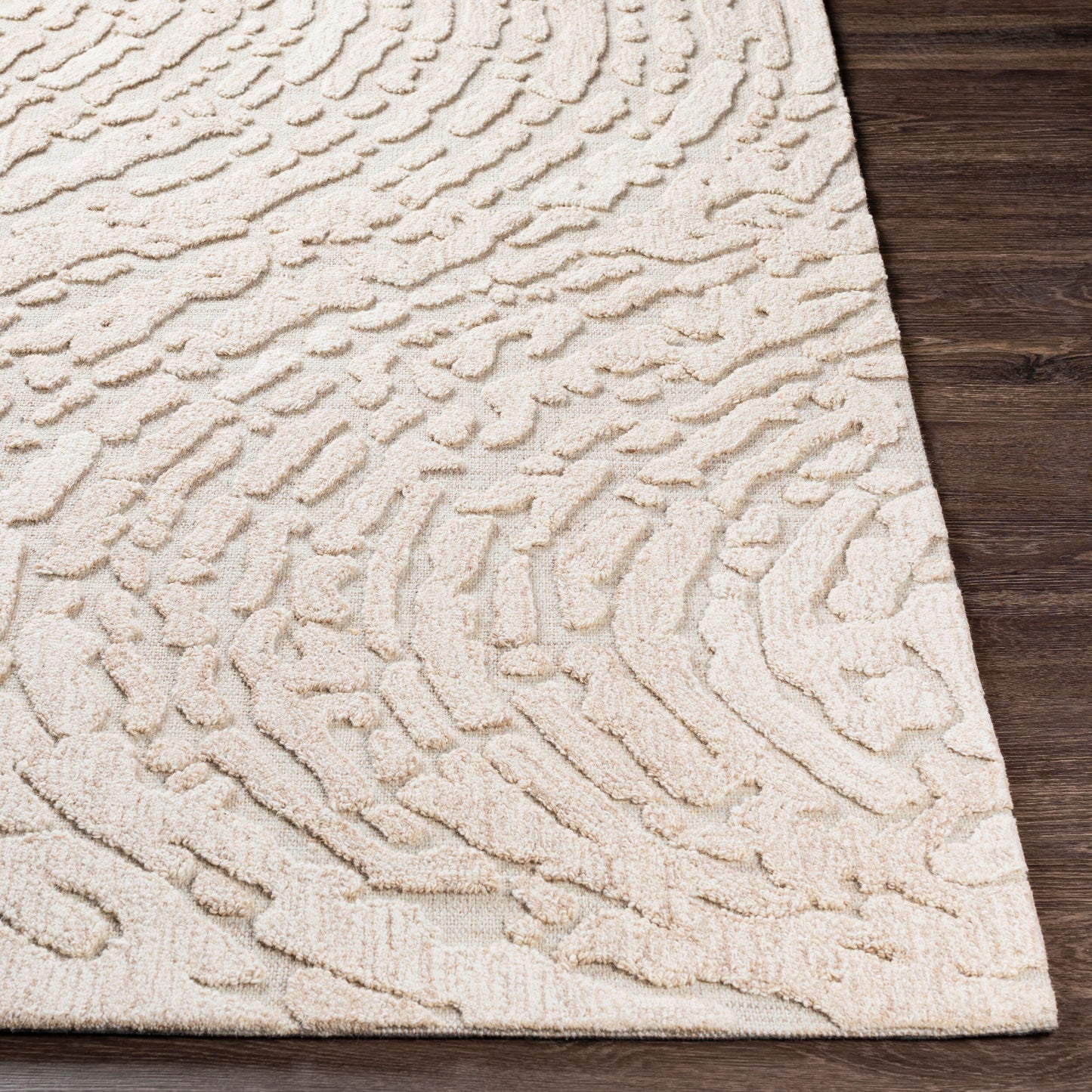 Oakland OAA-1000 2' x 3' Handmade Wool Accent Rug