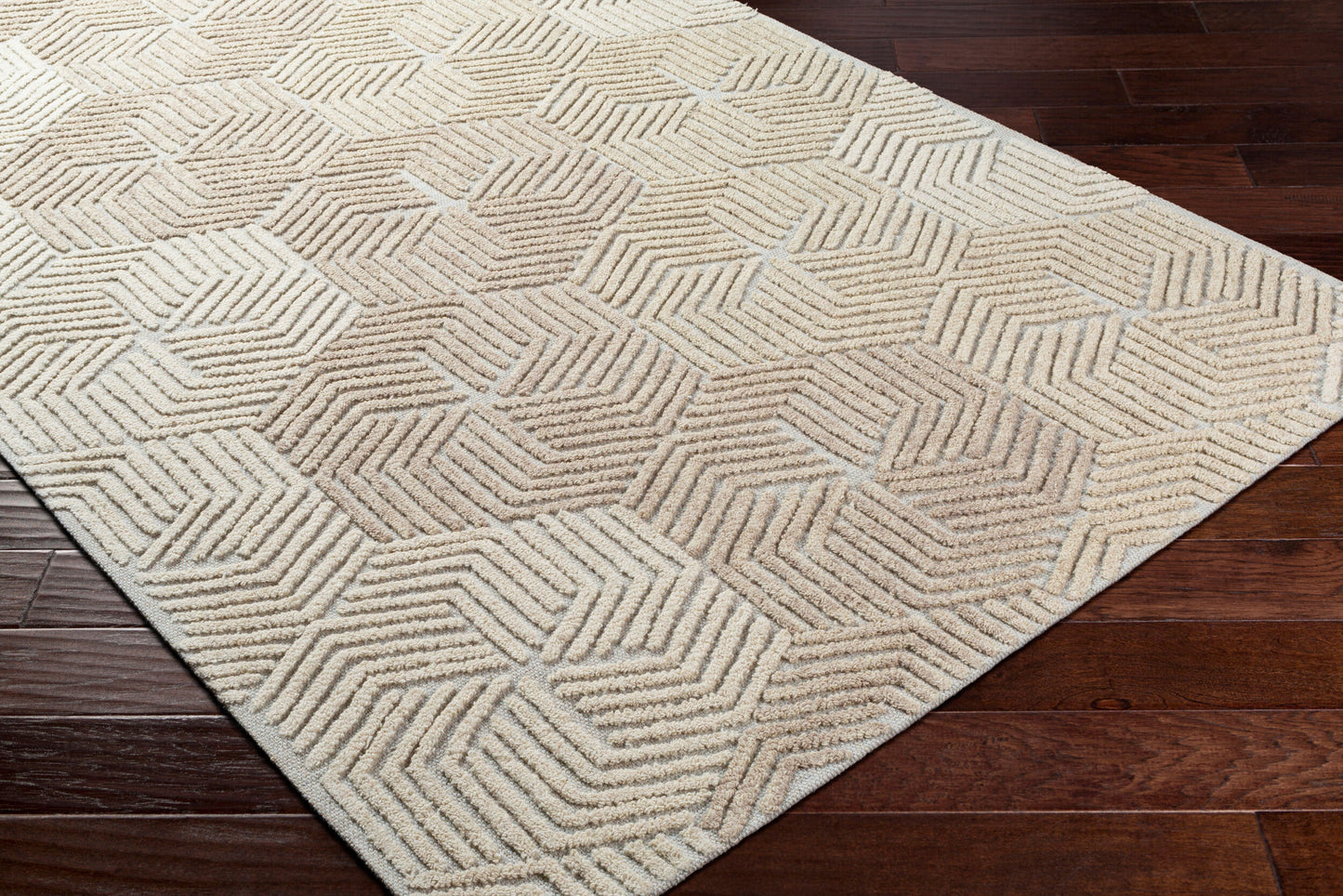 Oakland OAA-1002 2' x 3' Handmade Wool Accent Rug