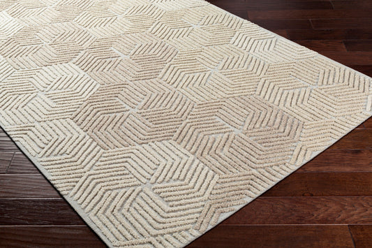 Oakland OAA-1002 2' x 3' Handmade Wool Accent Rug