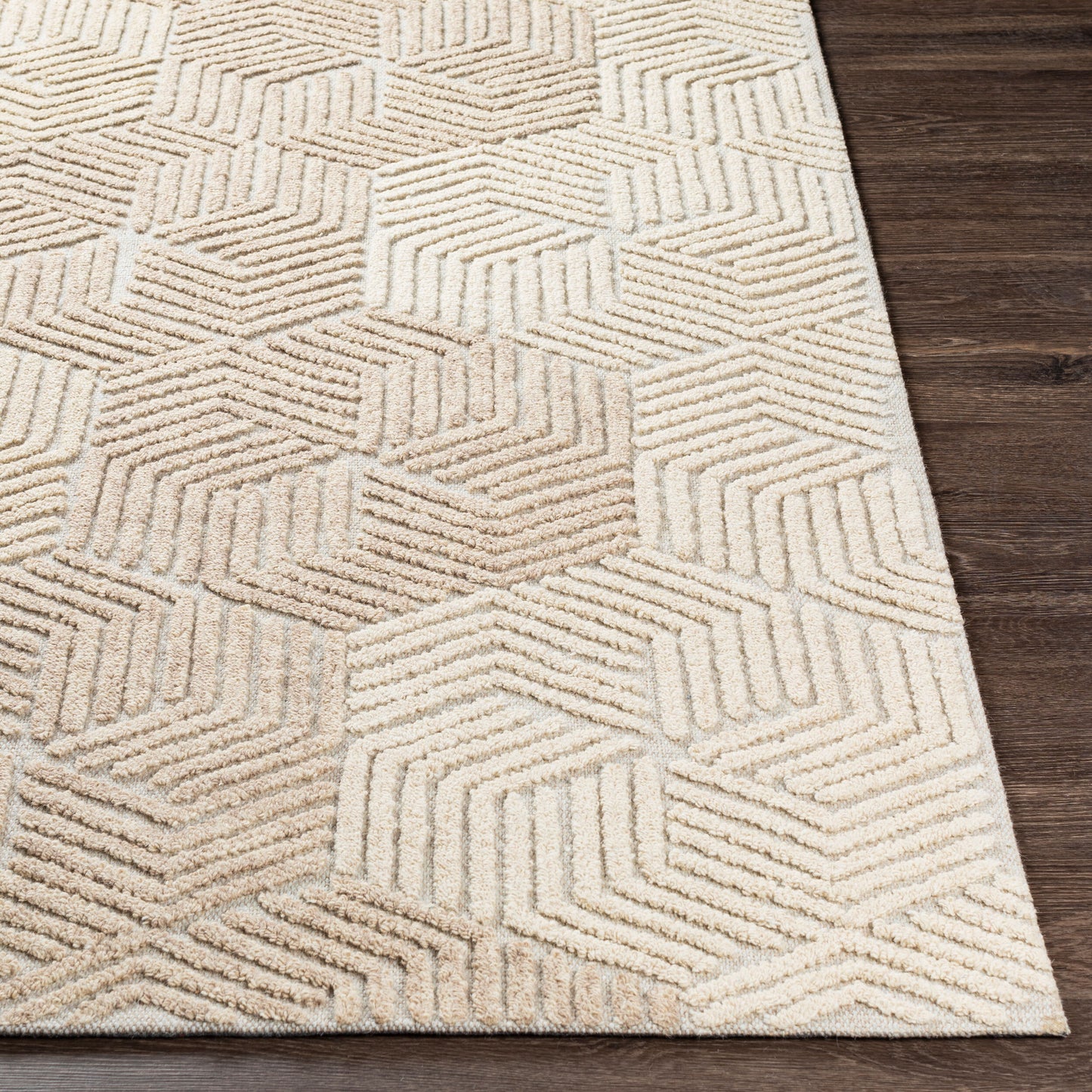 Oakland OAA-1002 2' x 3' Handmade Wool Accent Rug