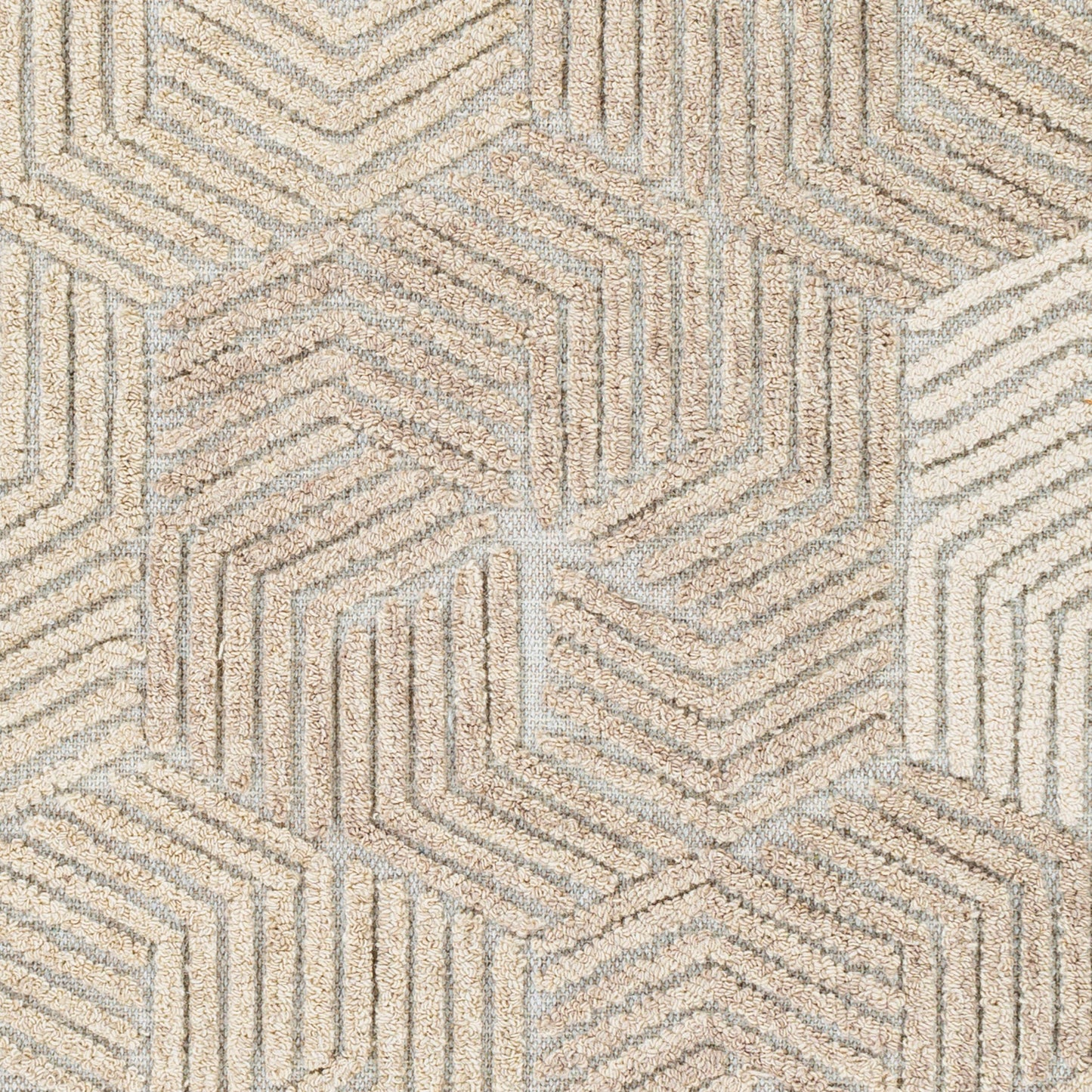 Oakland OAA-1002 2' x 3' Handmade Wool Accent Rug