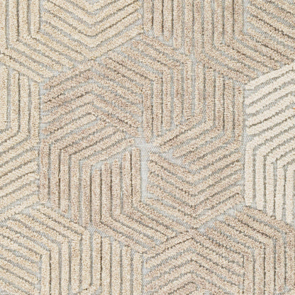 Oakland OAA-1002 2' x 3' Handmade Wool Accent Rug