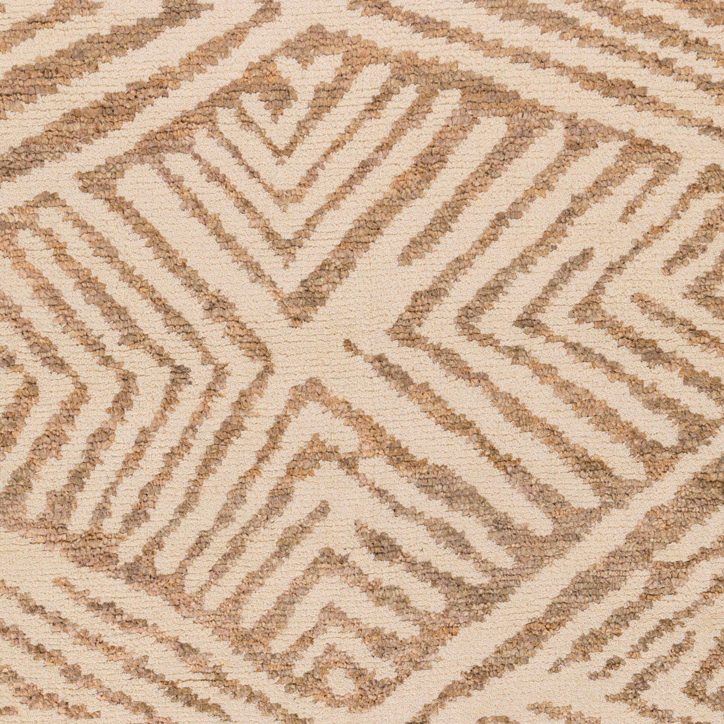 Alfombra decorativa de yute hecha a mano Orinocco OOC-1005 de 2' x 3'