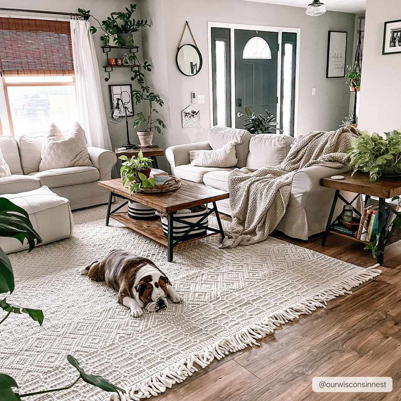 Casa DeCampo CDC-2307 Hand Woven Rug