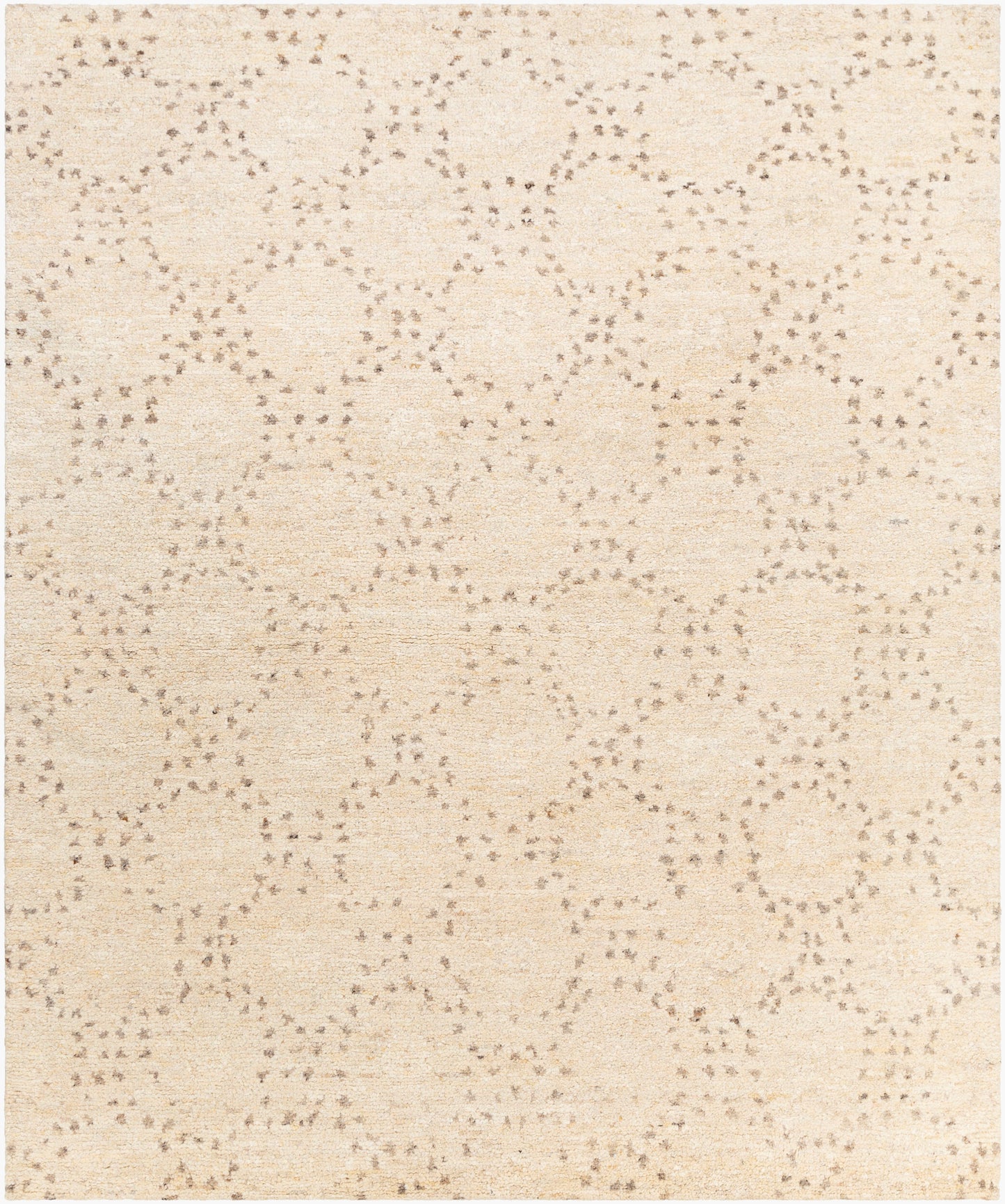 Alfombra de lana hecha a mano Pampa PAP-1000 de 8' x 10'
