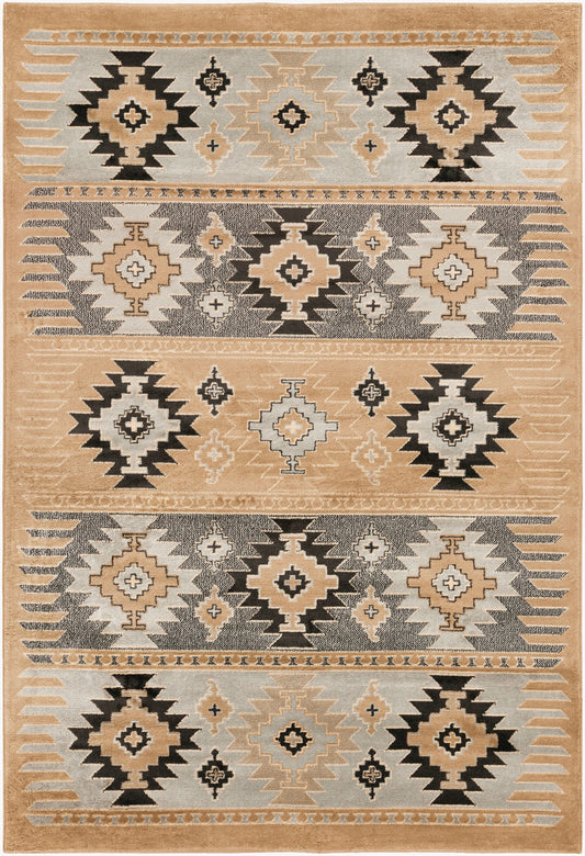 Paramount PAR-1045 9' x 12' Machine Woven Area Rug