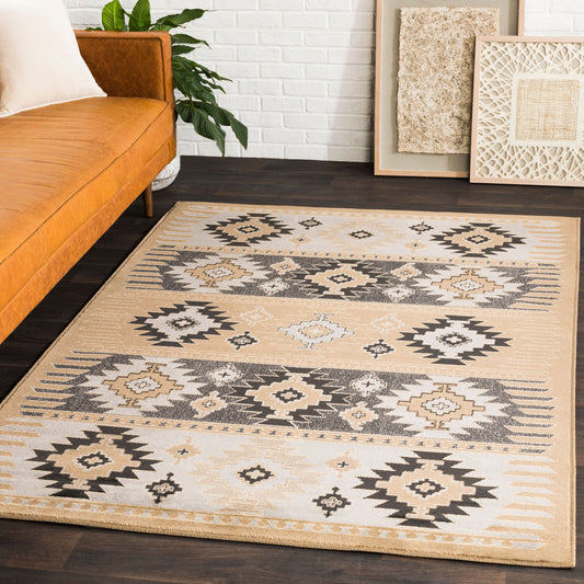 Paramount PAR-1045 9' x 12' Machine Woven Area Rug