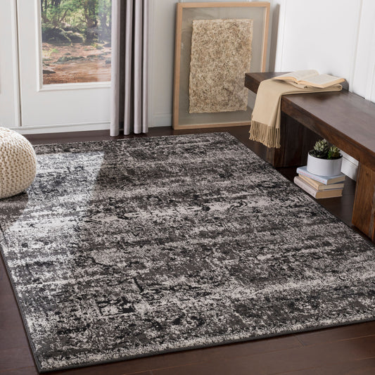 Paramount PAR-1060 2' x 3' Machine Woven Accent Rug