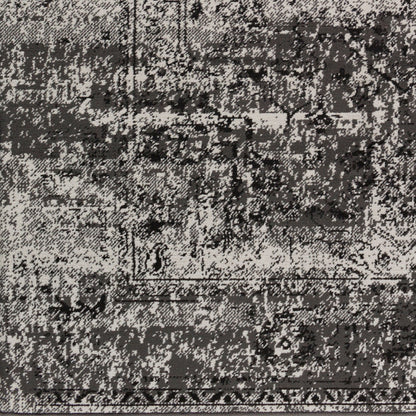 Paramount PAR-1060 2' x 3' Machine Woven Accent Rug