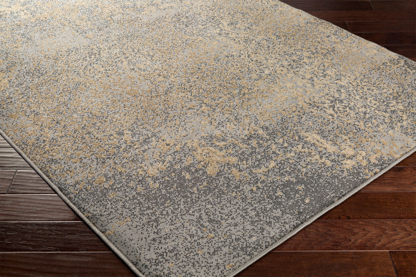 Paramount PAR-1074 2' x 3' Machine Woven Accent Rug