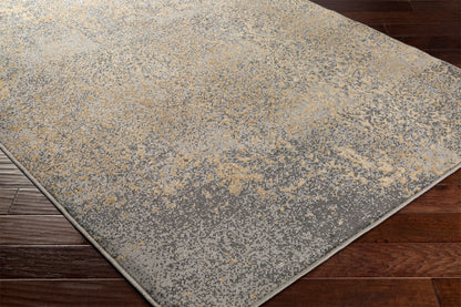Paramount PAR-1074 2' x 3' Machine Woven Accent Rug