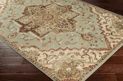 Paramount PAR-1080 6' x 9' Machine Woven Area Rug