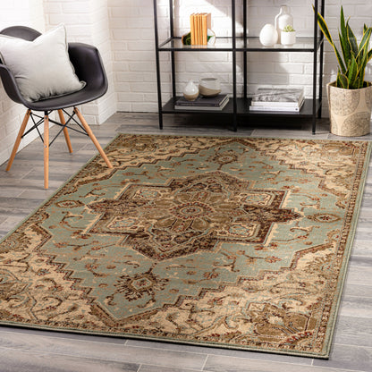 Paramount PAR-1080 6' x 9' Machine Woven Area Rug