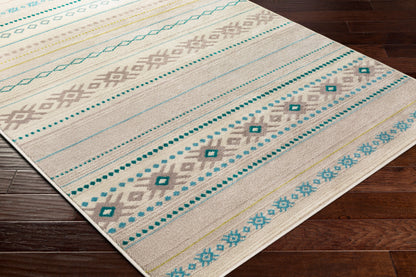 Paramount PAR-1118 5' x 7' Machine Woven Area Rug