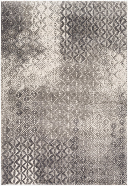 Pembridge PBG-1001 2' x 3' Machine Woven Accent Rug