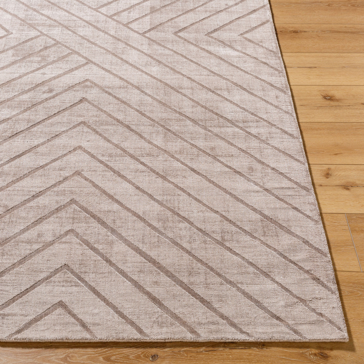 Pier PIE-2307 Hand Loomed Rug
