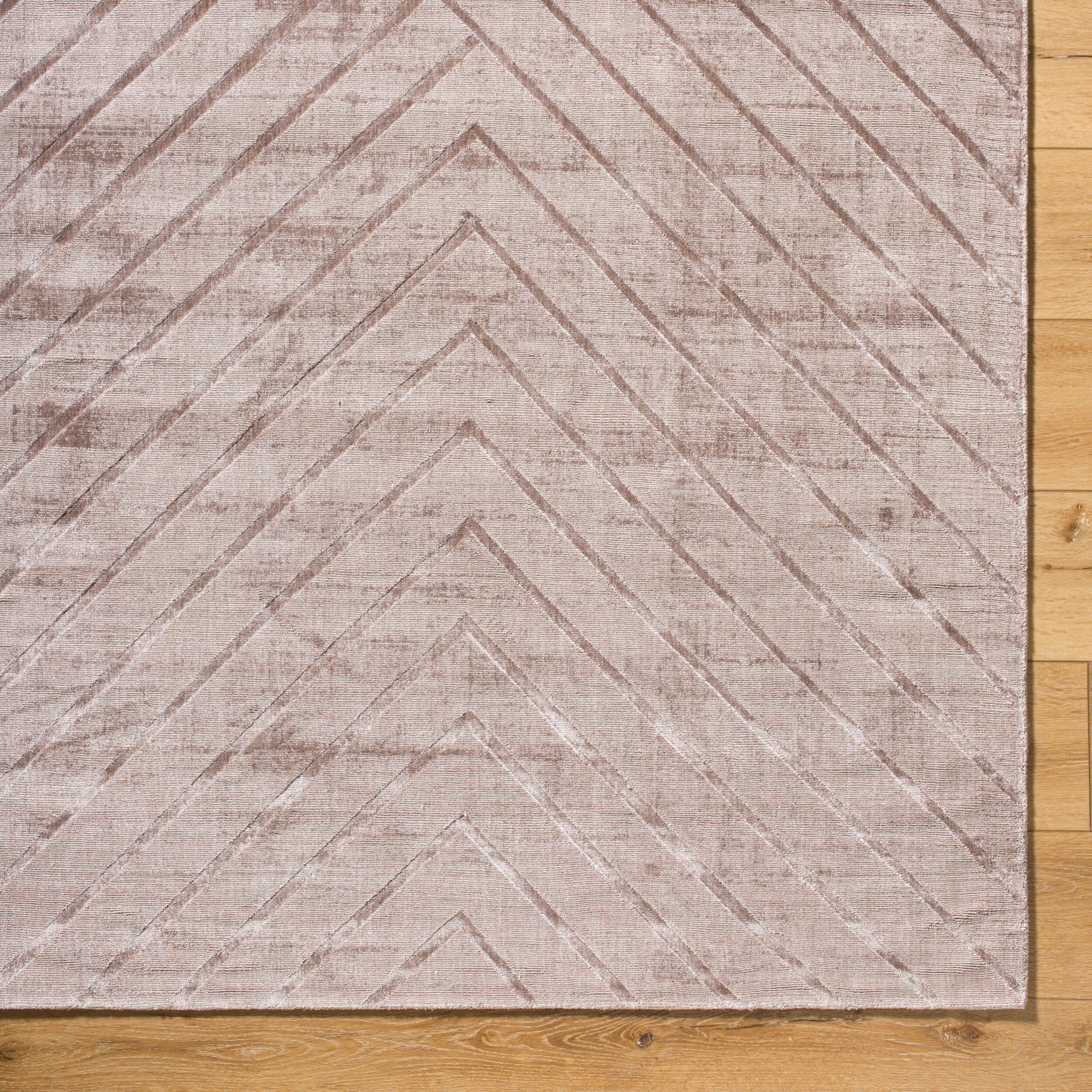Pier PIE-2307 Hand Loomed Rug