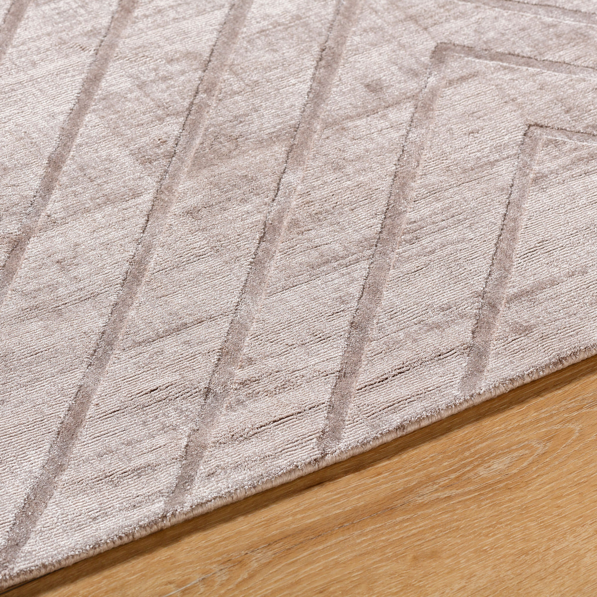 Pier PIE-2307 Hand Loomed Rug