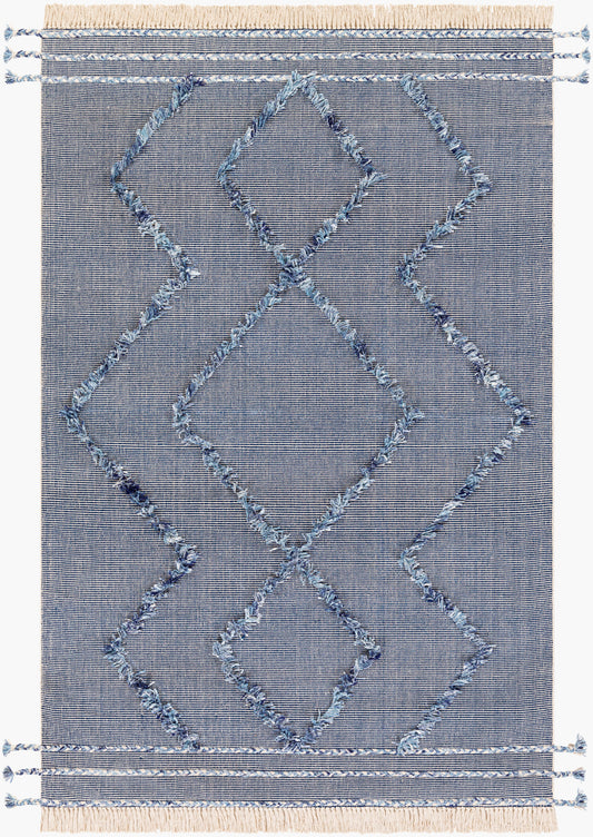 Palo Alto PLA-2300 2' x 3' Handmade Accent Rug