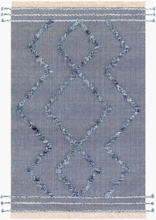 Palo Alto PLA-2300 Hand Woven Rug