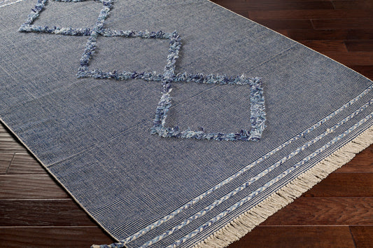 Palo Alto PLA-2300 2' x 3' Handmade Accent Rug