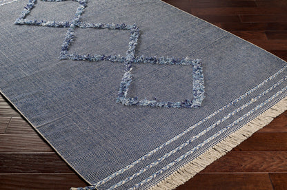 Palo Alto PLA-2300 Hand Woven Rug