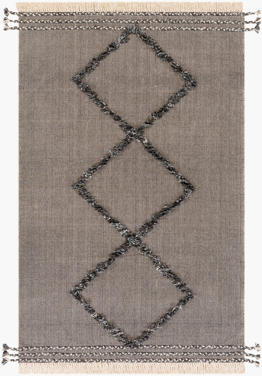Palo Alto PLA-2301 2' x 3' Handmade Accent Rug