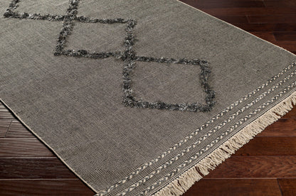 Palo Alto PLA-2301 2' x 3' Handmade Accent Rug