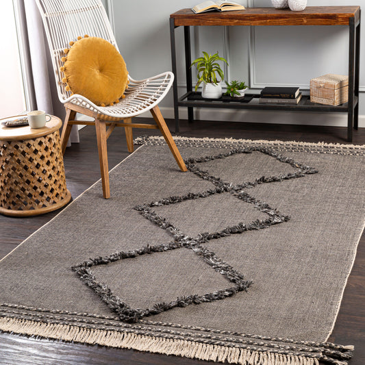 Palo Alto PLA-2301 2' x 3' Handmade Accent Rug