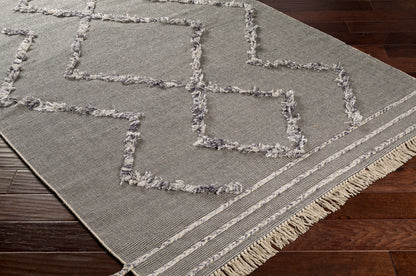 Palo Alto PLA-2303 2' x 3' Handmade Accent Rug