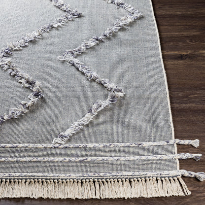 Palo Alto PLA-2303 2' x 3' Handmade Accent Rug