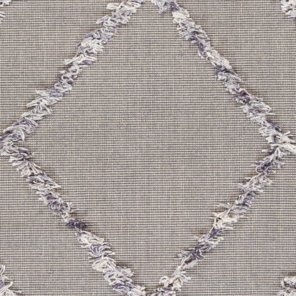 Palo Alto PLA-2303 2' x 3' Handmade Accent Rug