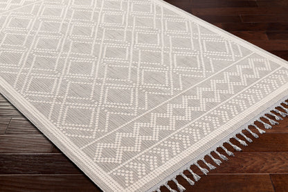 Palermo PLR-2300 9' x 12' Machine Woven Area Rug