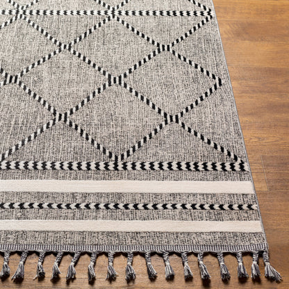 Palermo PLR-2301 3' x 5' Machine Woven Accent Rug